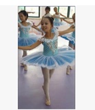女童演出服小天鹅舞蹈裙儿童芭蕾舞裙蓝色纱裙芭蕾吊带蓬蓬裙