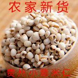 特级贵州优质正品 小薏米 杂粮农家新货 薏米仁可磨粉苡米仁500克