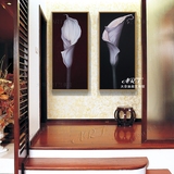 印象静物富贵花卉马蹄莲手绘油画欧式客厅组合有框装饰画双联包邮