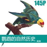 鹦鹉的自然历史鸟类装饰画动物设计绘画素材 无框画电子图片图库