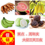 销 玫瑰蕉【蕉点+周年庆】新鲜水果土楼红皮香蕉 4斤包邮果园直