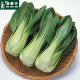 【京黔园】新鲜精品蔬菜 上海青 油菜 北京买同城配送到家