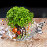 水晶金鱼透明玻璃花瓶创意家居摆件水培铜钱草办公招财摆件