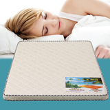 天然椰棕床垫棕垫单人双人床垫硬棕床垫可定制折叠