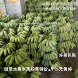 福建特产无公害绿色新鲜健康水果banana米蕉粉蕉芭蕉特价4斤包邮