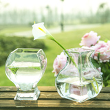 晶辉方口精致小款透明玻璃花瓶 客厅卧室书房插花玻璃花器