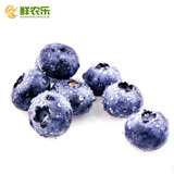 【鲜农乐】智利进口蓝莓125g/份鲜果浆新鲜水果  4份多省顺丰包邮