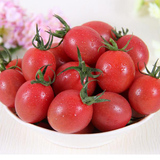 番茄种子 家庭阳台盆栽易种水果千禧 红圣女果 西红柿 樱桃番茄籽