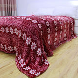 外贸原单法兰绒珊瑚绒毛毯大床单多功能毯加厚克重高