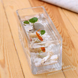 包邮 加厚水培玻璃花盆长方形缸植物花器 办公桌小型透明玻璃鱼缸