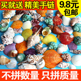 天然贝壳海螺珊瑚海星组合套装批发鱼缸造景装饰婚庆摆件特价包邮