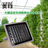 贵翔LED植物生长补光灯园艺植物墙蔬菜大棚大功率防水照树投光灯