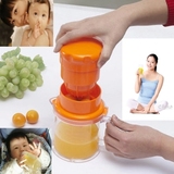 【天天特价】水果榨汁机榨果汁原汁机器手动简易多功能面膜果汁机