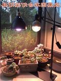 合鸣led植物生长灯全光谱多肉兰花育苗大棚蔬菜植物补光灯包邮