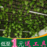 屋顶假树叶绿叶装饰塑料叶子仿真葡萄叶藤条吊顶暖气管道植物绿藤