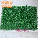 假人造塑料地面装饰仿真绿色植物墙面配材米兰草皮草坪草毯加密厚