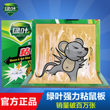 绿叶粘鼠板超强力老鼠贴驱鼠灭鼠器夹老鼠胶老鼠笼药家用捕鼠器