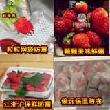草莓 新鲜孕妇水果 有机奶油草莓 双流草莓 3000g礼盒装顺丰包邮