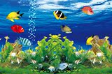 海底世界海报墙画动物鱼海报风景画鱼缸背景画宿舍房间贴墙画07