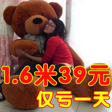 大号公仔熊猫抱枕泰迪熊布娃娃毛绒玩具熊大熊玩偶儿童生日礼物女
