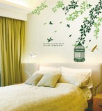 大幅墙贴第三代可移除墙贴 客厅卧室家具装饰贴画 绿藤鸟笼