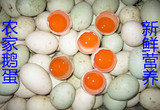 当天捡的新鲜鸭蛋苏北特产孕妇吃的鸭蛋农家处子鸭蛋有机散户鸭蛋