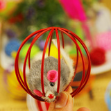 猫咪玩具耐玩笼中鼠玩具猫抓球 球形玩具含兔毛老鼠猫玩具