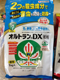 三土日本进口住友 DX 小白药 内吸式杀虫剂 多肉植物 蚧壳虫根粉