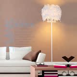 水晶羽毛立式台灯客厅书房卧室床头灯现代创意美容主播补光落地灯
