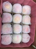 有机无公害大沙河红富士冰糖心苹果10斤批发包邮胜新疆阿克苏烟台