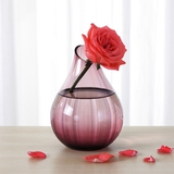 皓杨 半透明水培彩色透明花瓶 小清晰透明餐桌花瓶摆件 装饰花瓶