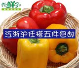 新鲜有机蔬菜 红 黄 彩椒 甜椒 蔬菜沙拉  江浙沪五斤包邮