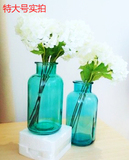 【天天特价】彩色透明玻璃水培花瓶花器 装饰摆件桌面插花2只包邮