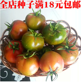 蔬果种子草莓柿子铁皮柿子番茄西红柿新鲜蔬菜阳台盆贼不偷番茄