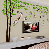 超大照片树卧室床头房间贴纸可移除客厅电视背景墙装饰品贴画