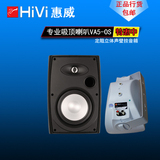 Hivi/惠威 VA5-OS，10-80W 定阻壁挂式音箱 会议音箱 正品行货