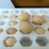 农家土鸡蛋30枚包邮土特产清远走地鸡新鲜自养散养土鸡蛋纯天然