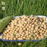 五送一250克小笨土黄豆 非转基因 纯天然农家有机豆浆 发芽拍备注
