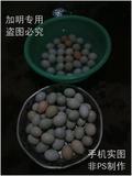 农村山里散养黑凤乌鸡蛋，野鸡种蛋，1.5元/个，淘宝最低20个包邮