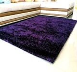 几卧室通用南韩丝地毯可定做地毯特价包邮韩国丝加亮丝地毯客厅茶