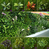 仿真草坪绿萝万年青叶子植物背景墙面装饰塑料绿植把束苔藓壁挂