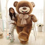 毛绒玩具1.6米美国大熊布娃娃大号泰迪熊1.8米熊猫抱抱熊生日礼物