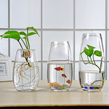 简约透明玻璃花瓶水培玻璃鱼缸绿萝插花器装饰品客厅摆件富贵竹