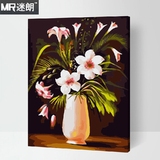迷朗DIY数字油画 花卉植物花瓶送礼客厅大幅数码手绘装饰画 花语