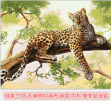 升级3.0版正品DIY数字油画动物抽象豹子悠闲40*50 50*65 60*75cm