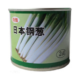 日本铁杆大葱 进口引进大葱种子 蔬菜大葱子 16四季包邮特级钢葱