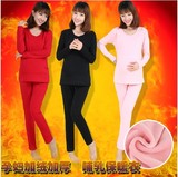 冬季韩版孕妇装纯色加厚长袖+裤子两件套上衣新款套装限时抢购