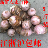 农家自种蔬菜新鲜红芽香芋小毛芋艿头松软滑粉糯粘5斤装可做种子