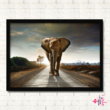 大象家居饰品动物创意摄影挂画墙画现代简约有框画卧室餐厅装饰画