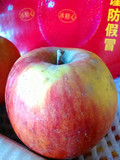 正宗新疆阿克苏红旗坡冰糖心苹果特级大苹果一箱净重10斤包邮